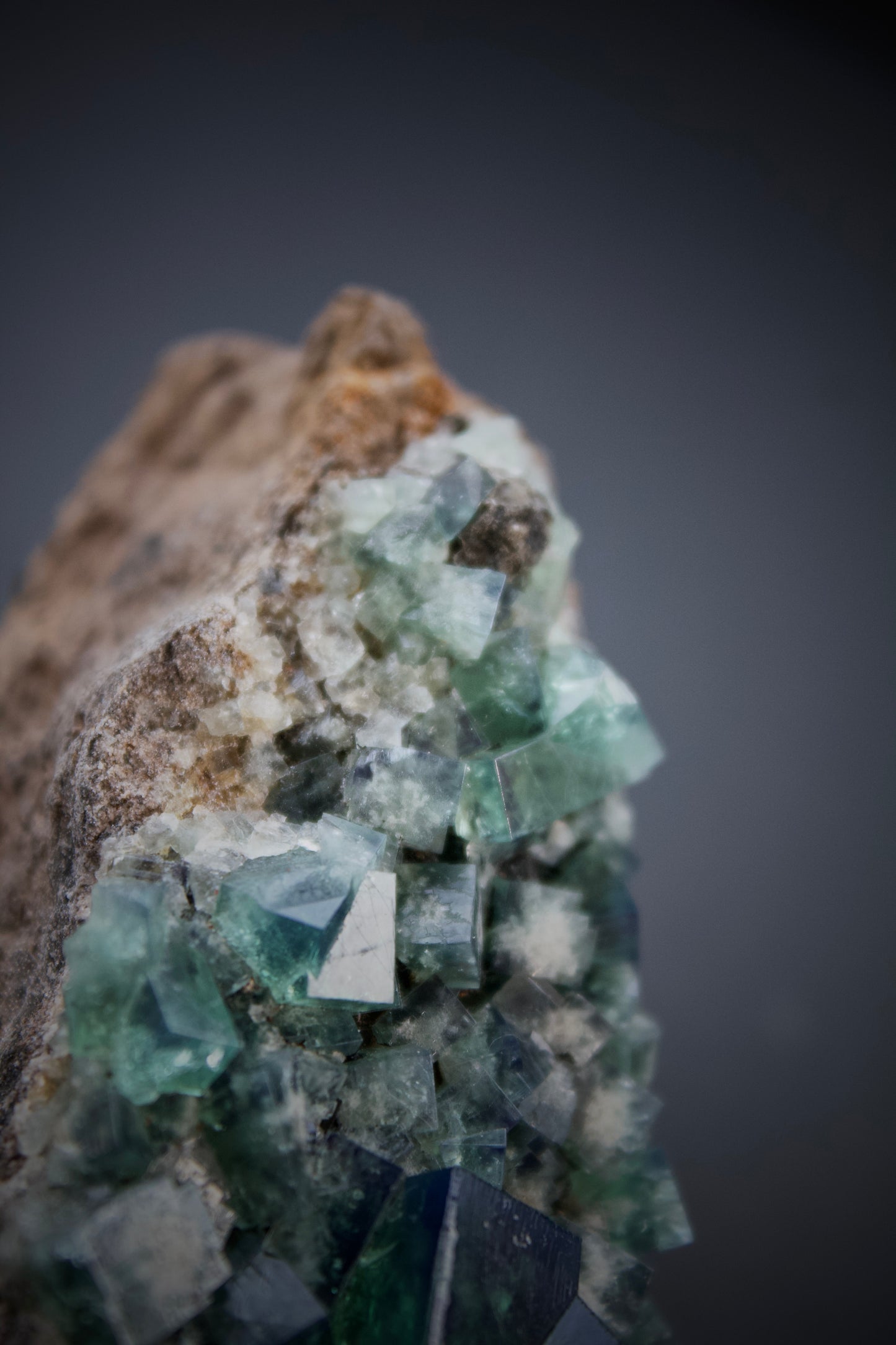 Pyjama Pocket Fluorite 10