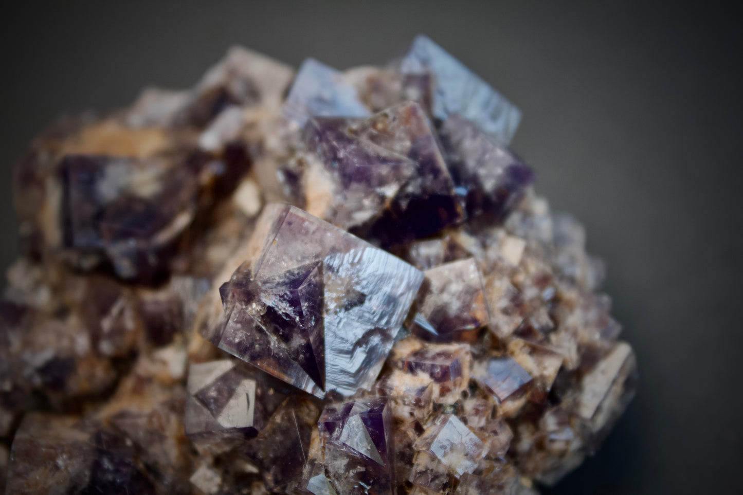 Smokey Rabbit Pocket Fluorite 8