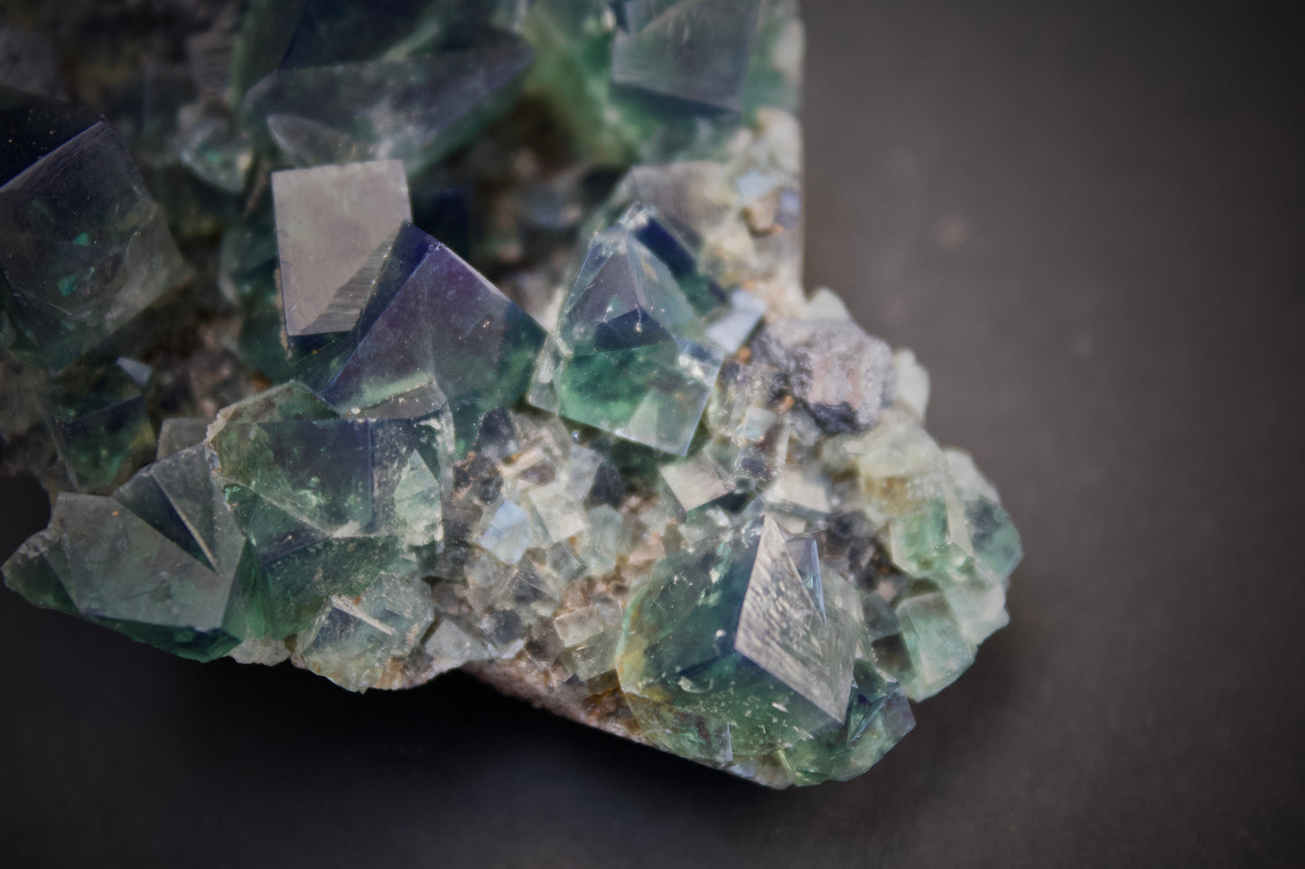 Greedy Hog Pocket Fluorite 2