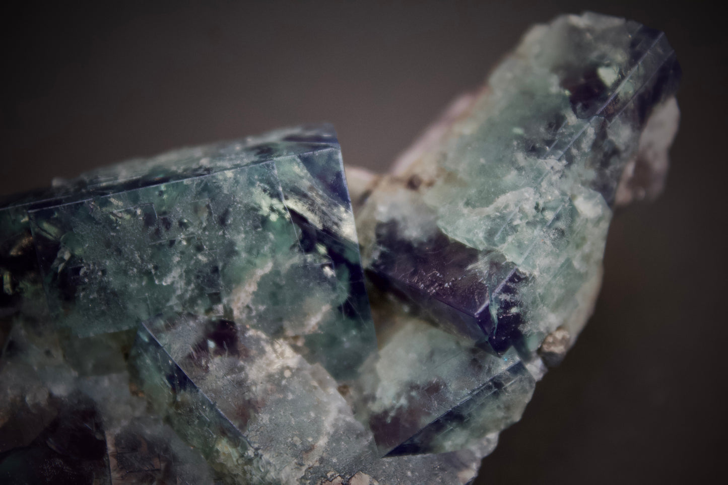 Truffle Pig Pocket Fluorite 2