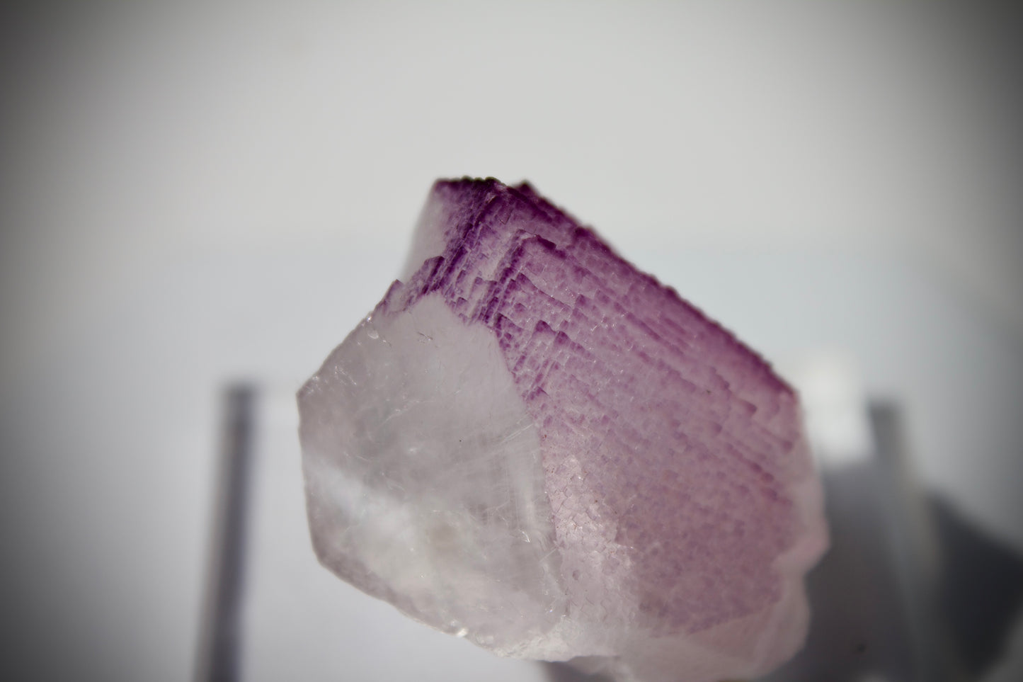 El Filo Fluorite 6