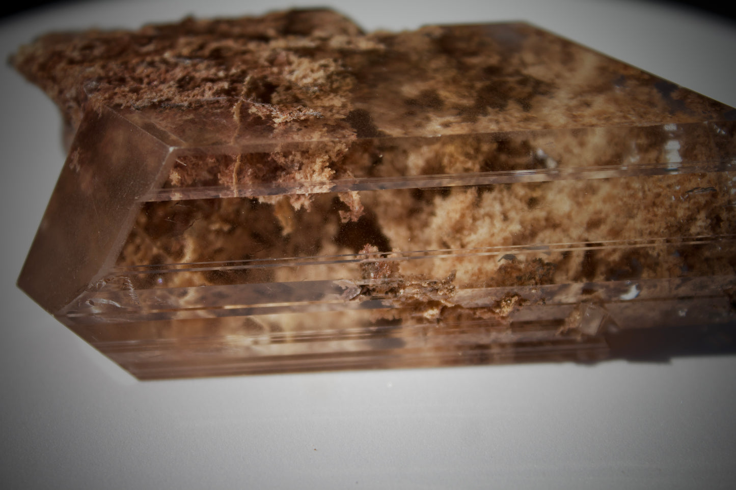 Bermejillo Selenite 2