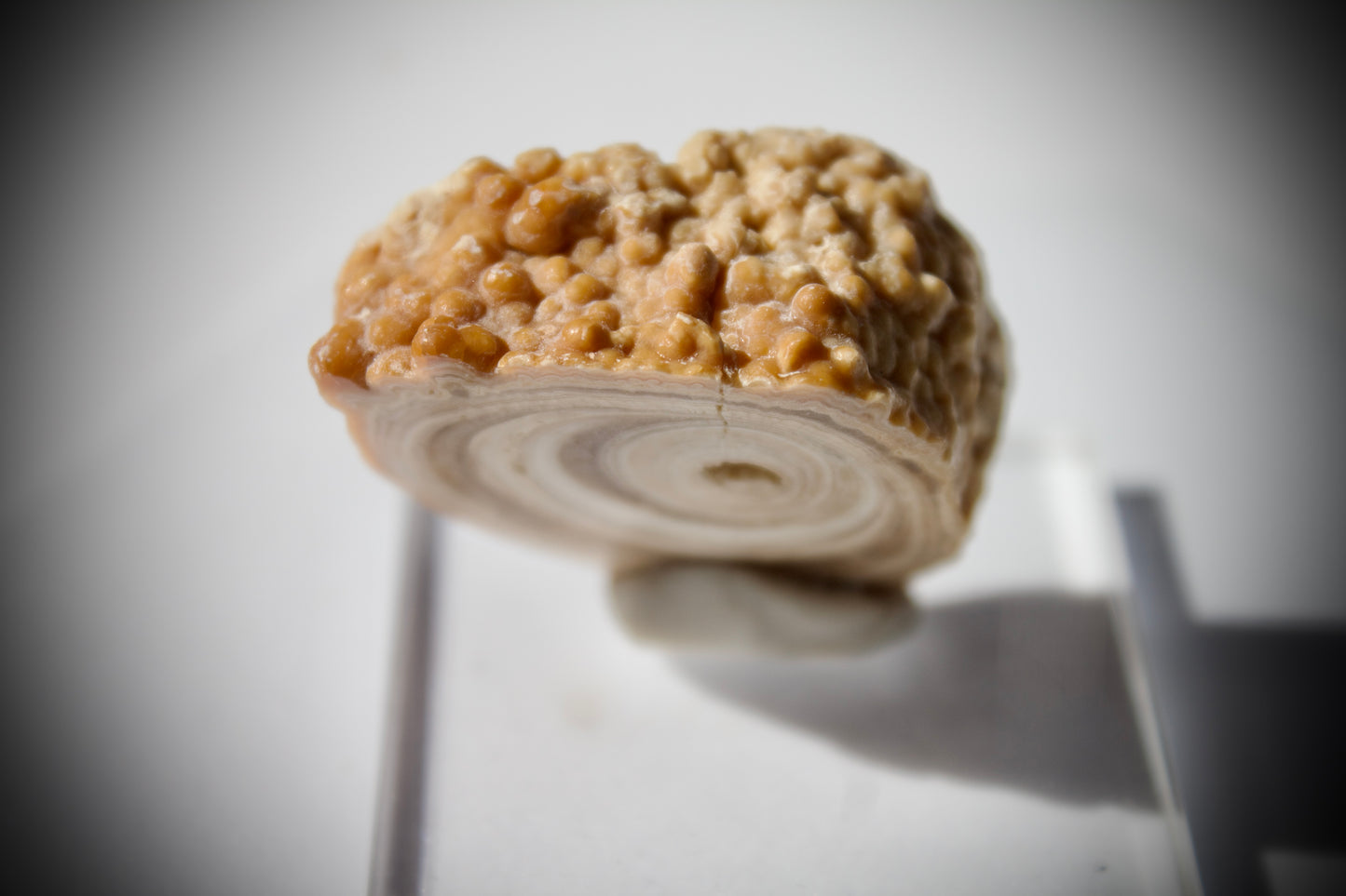 Aragonite Stalactite 11