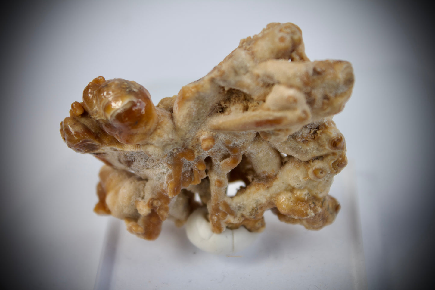 Aragonite Stalactite 14