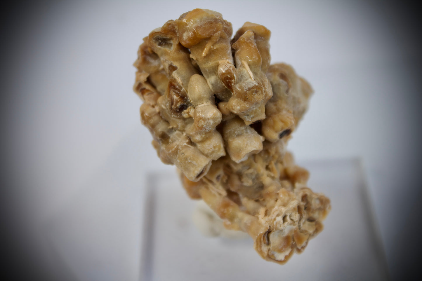 Aragonite Stalactite 15