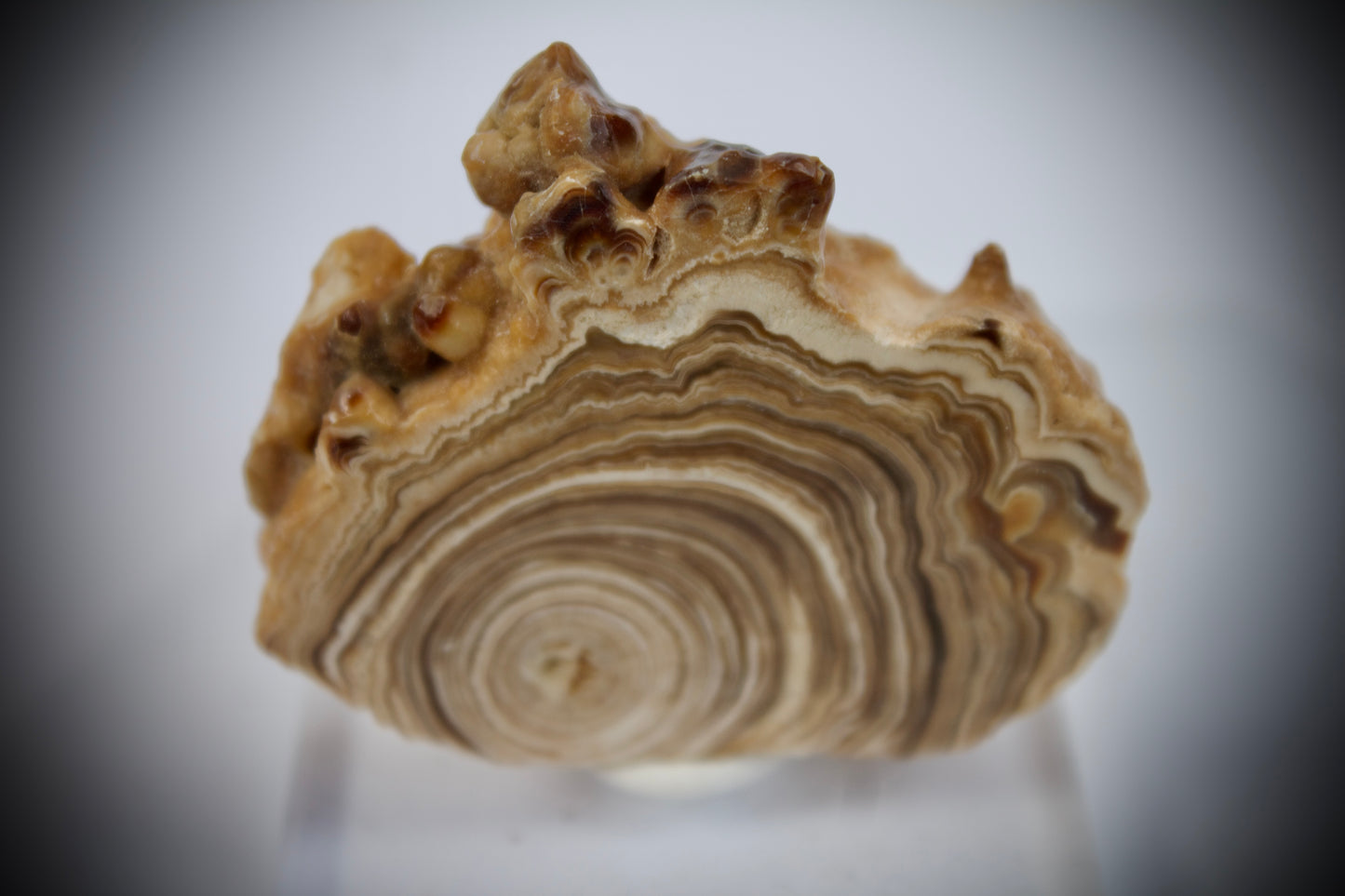 Aragonite Stalactite 16