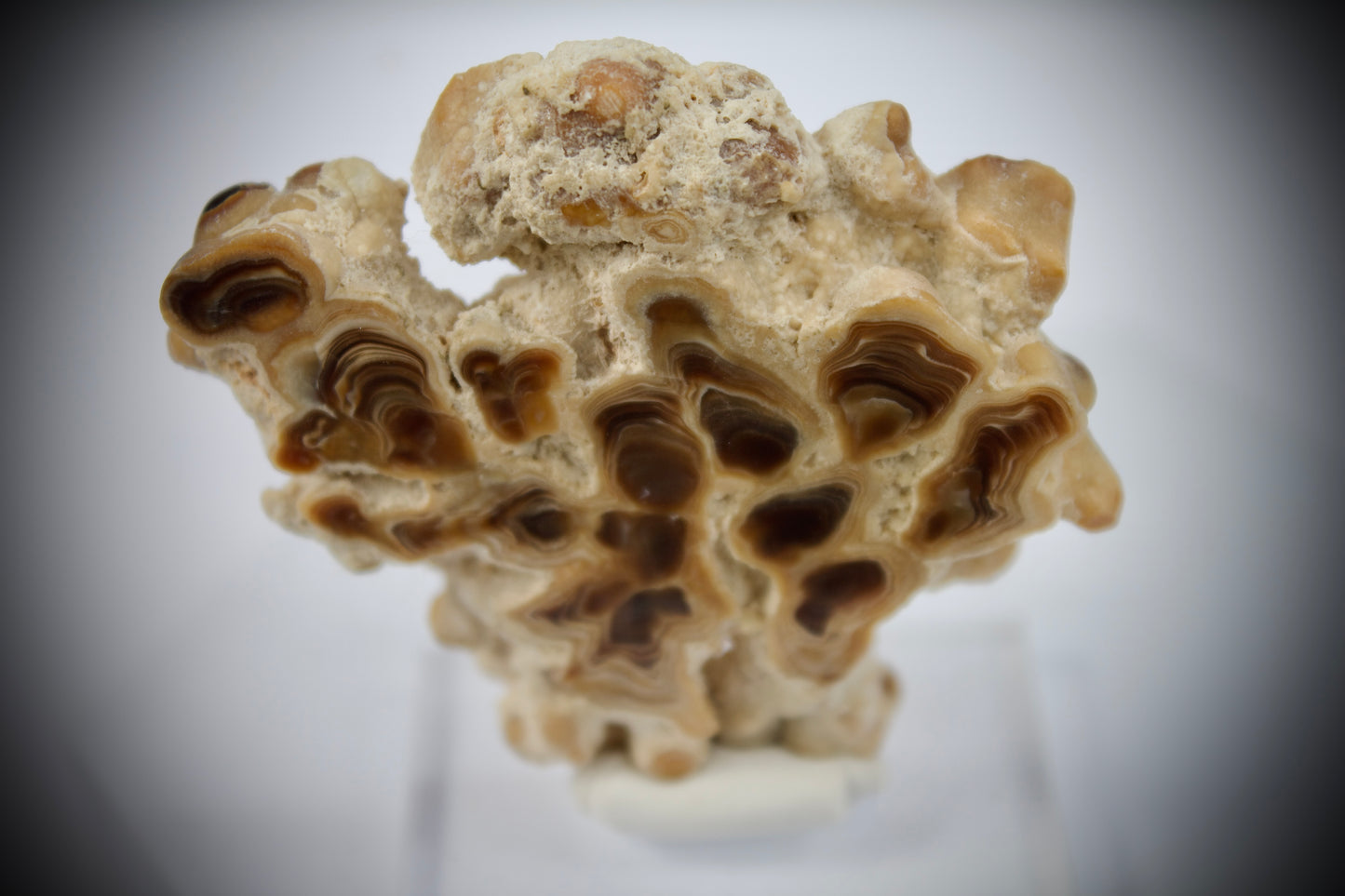Aragonite Stalactite 21