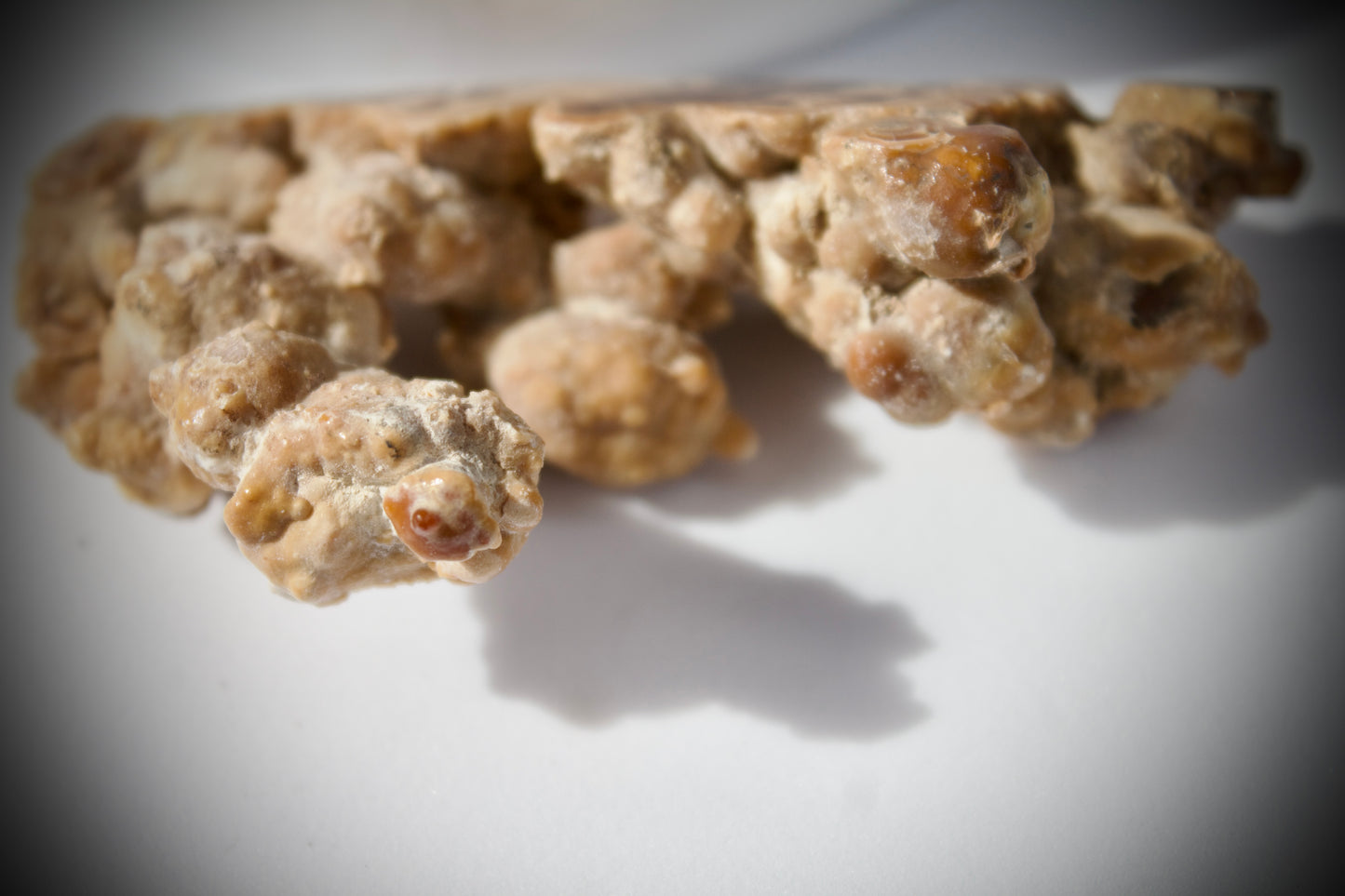 Aragonite Stalactite 23
