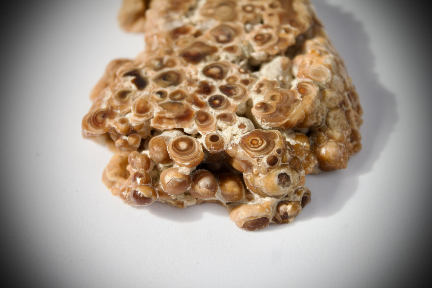 Aragonite Stalactite 24