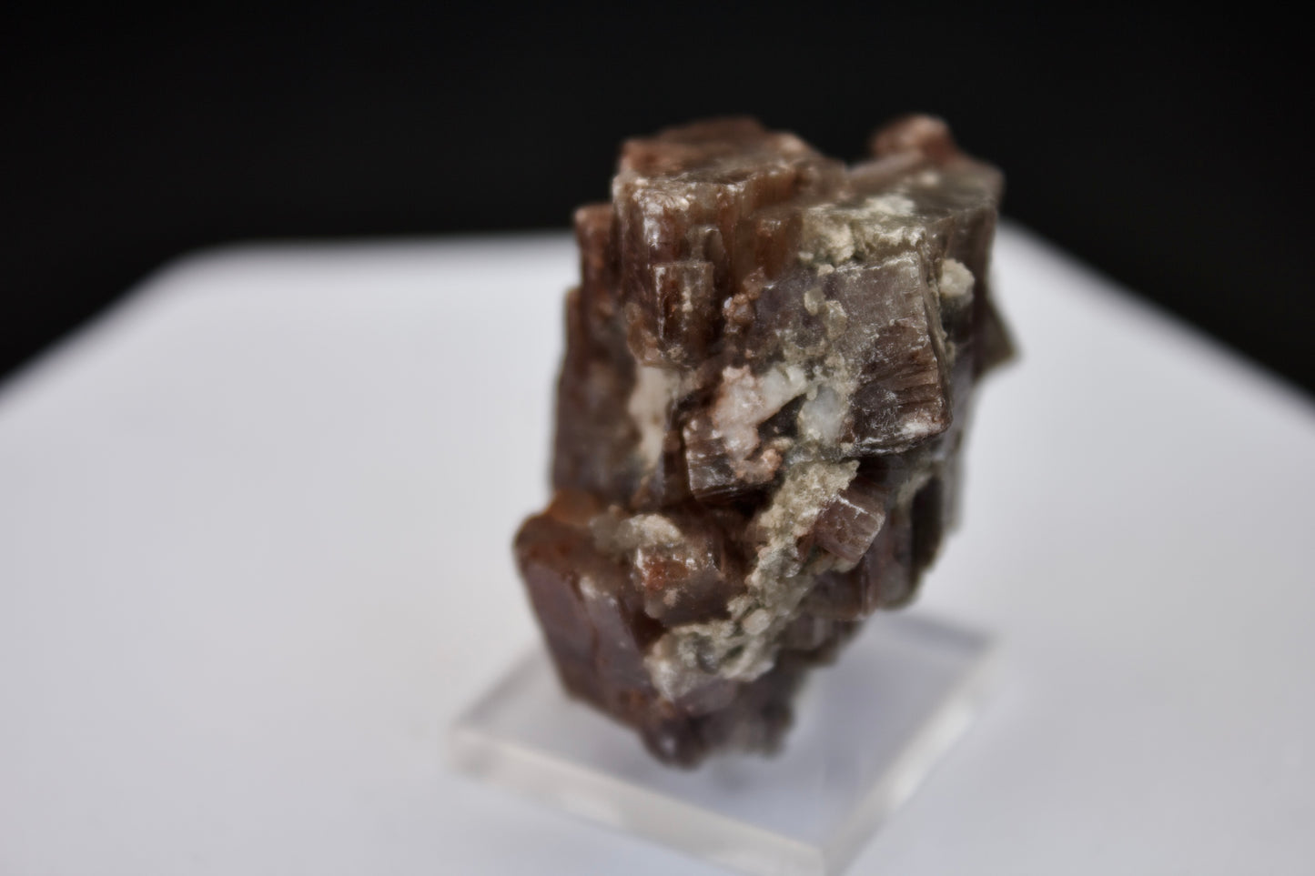 Purple Aragonite 2