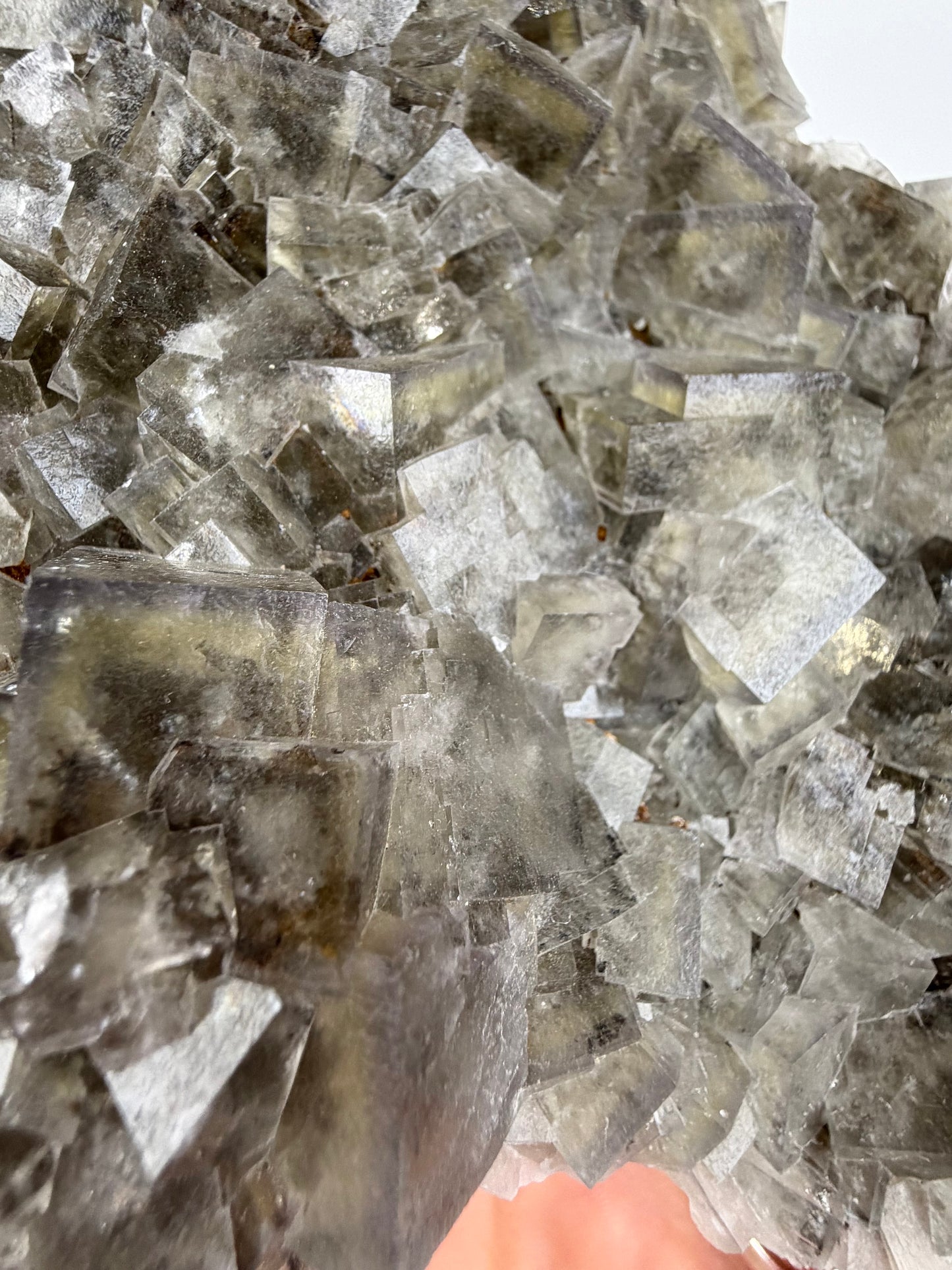Cromwells Pocket Greenlaws Fluorite 1