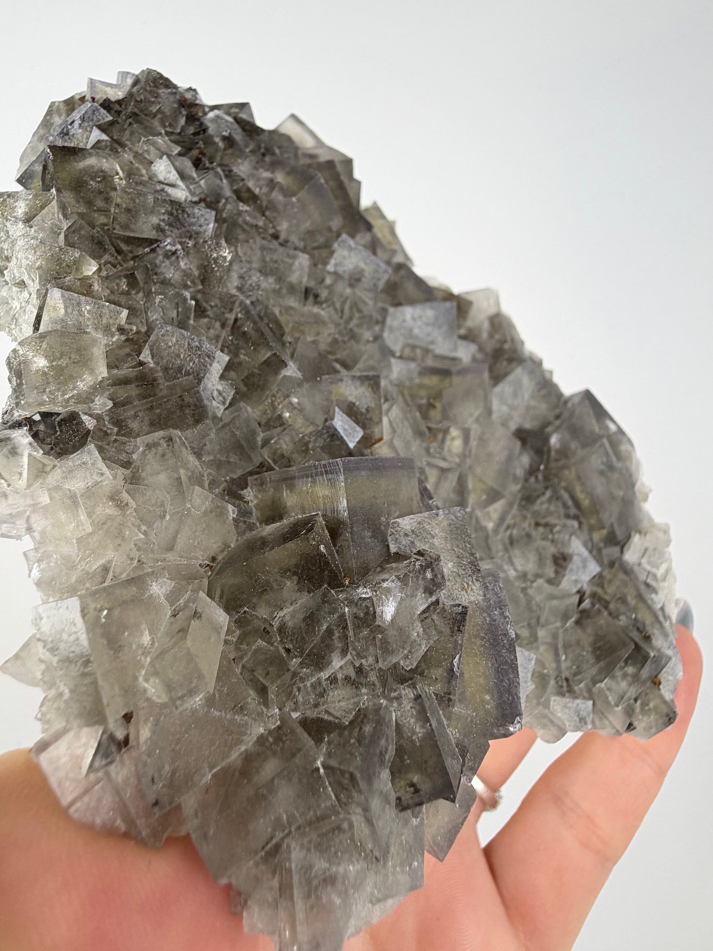 Cromwells Pocket Greenlaws Fluorite 1