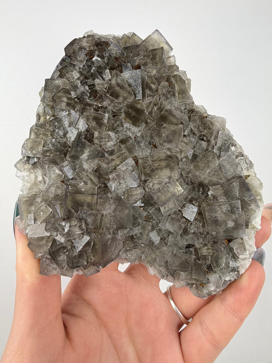 Cromwells Pocket Greenlaws Fluorite 1