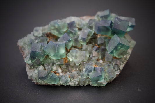 Pyjama Pocket Fluorite 8