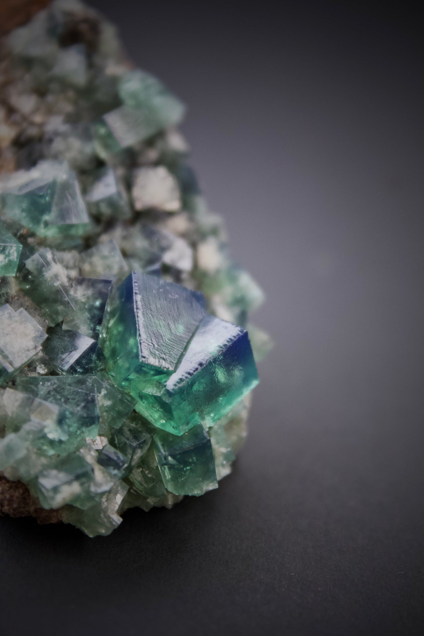 Pyjama Pocket Fluorite 10