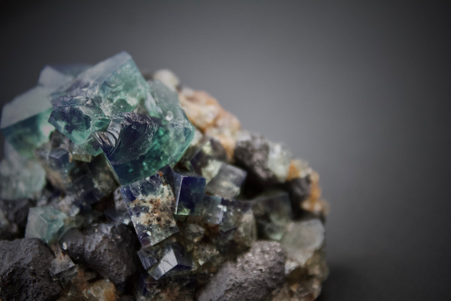 Pyjama Pocket Fluorite 13
