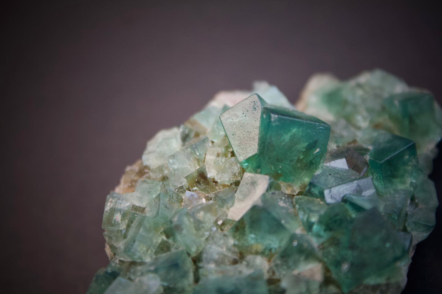 Pocket 42 Fluorite 4