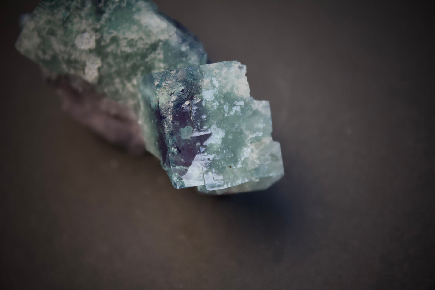Timber Pocket Fluorite 6