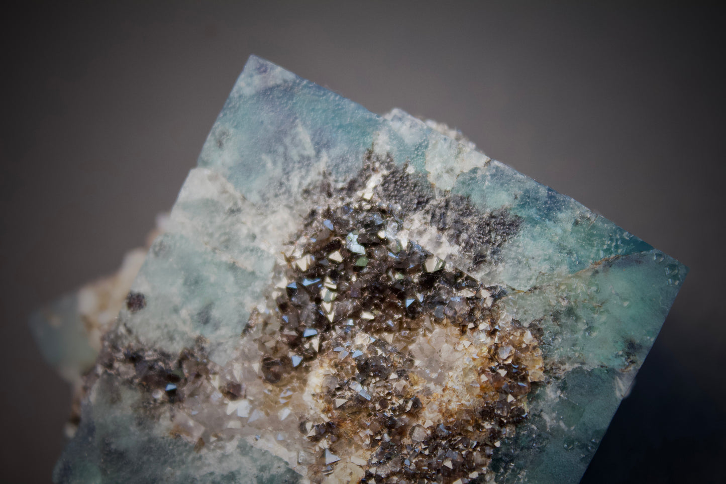 Timber Pocket Fluorite 10