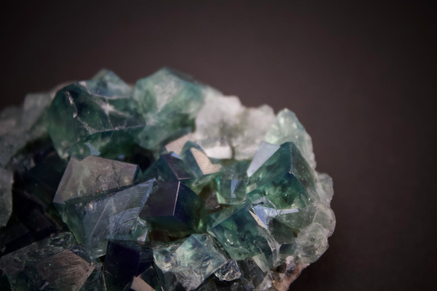 Greedy Hog Pocket Fluorite 1