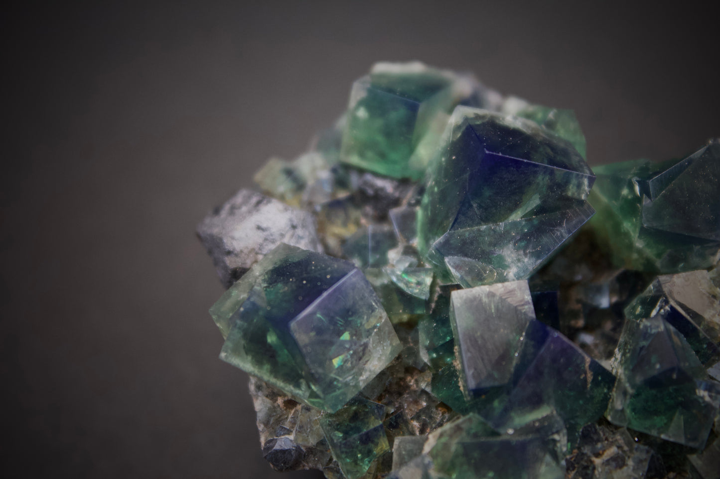 Greedy Hog Pocket Fluorite 2