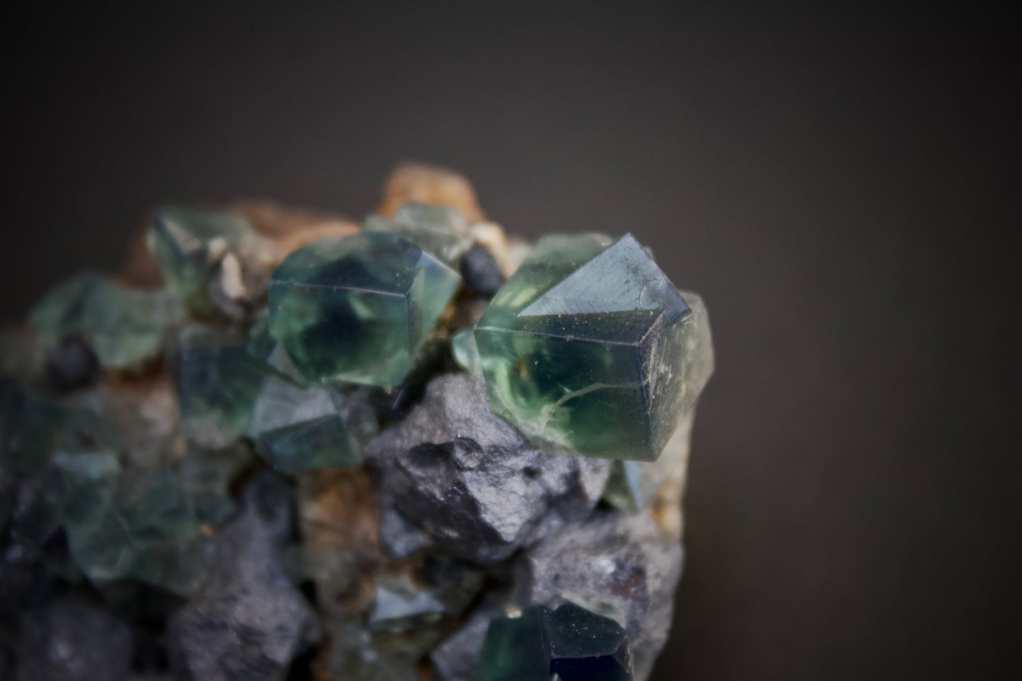 Greedy Hog Pocket Fluorite 3
