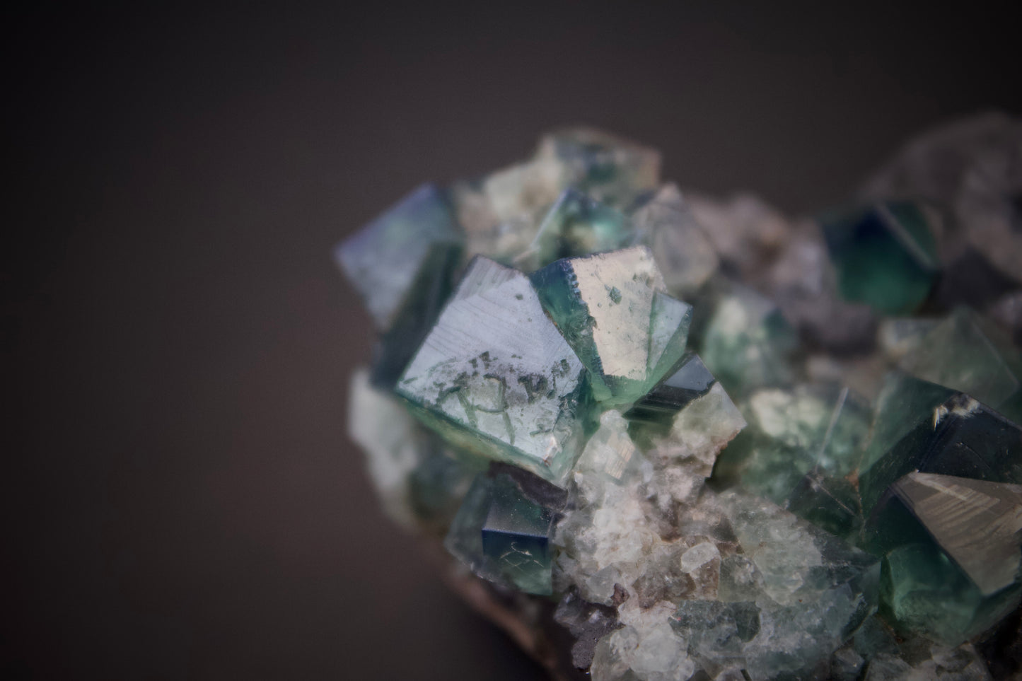 Greedy Hog Pocket Fluorite 7