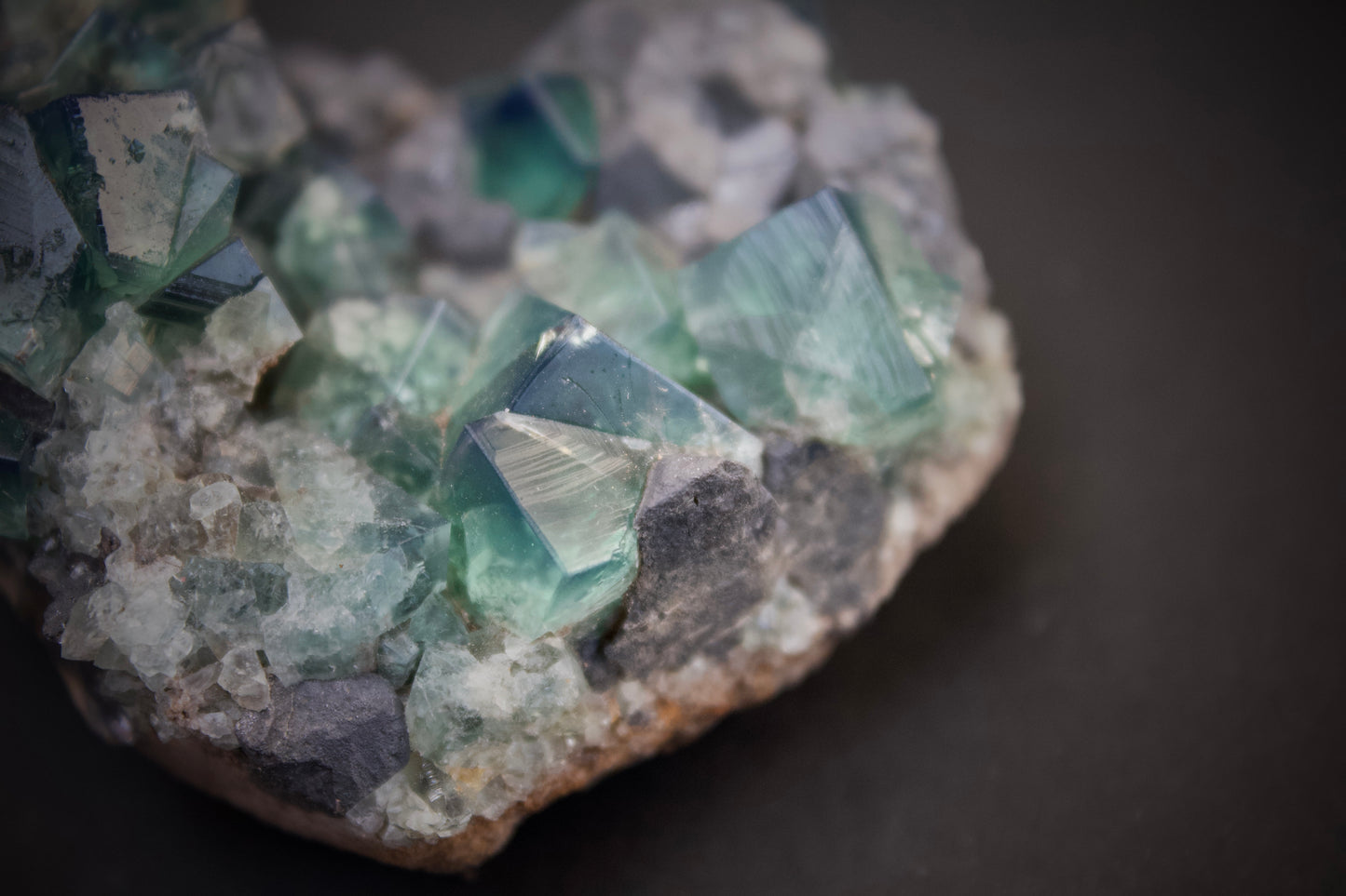 Greedy Hog Pocket Fluorite 7
