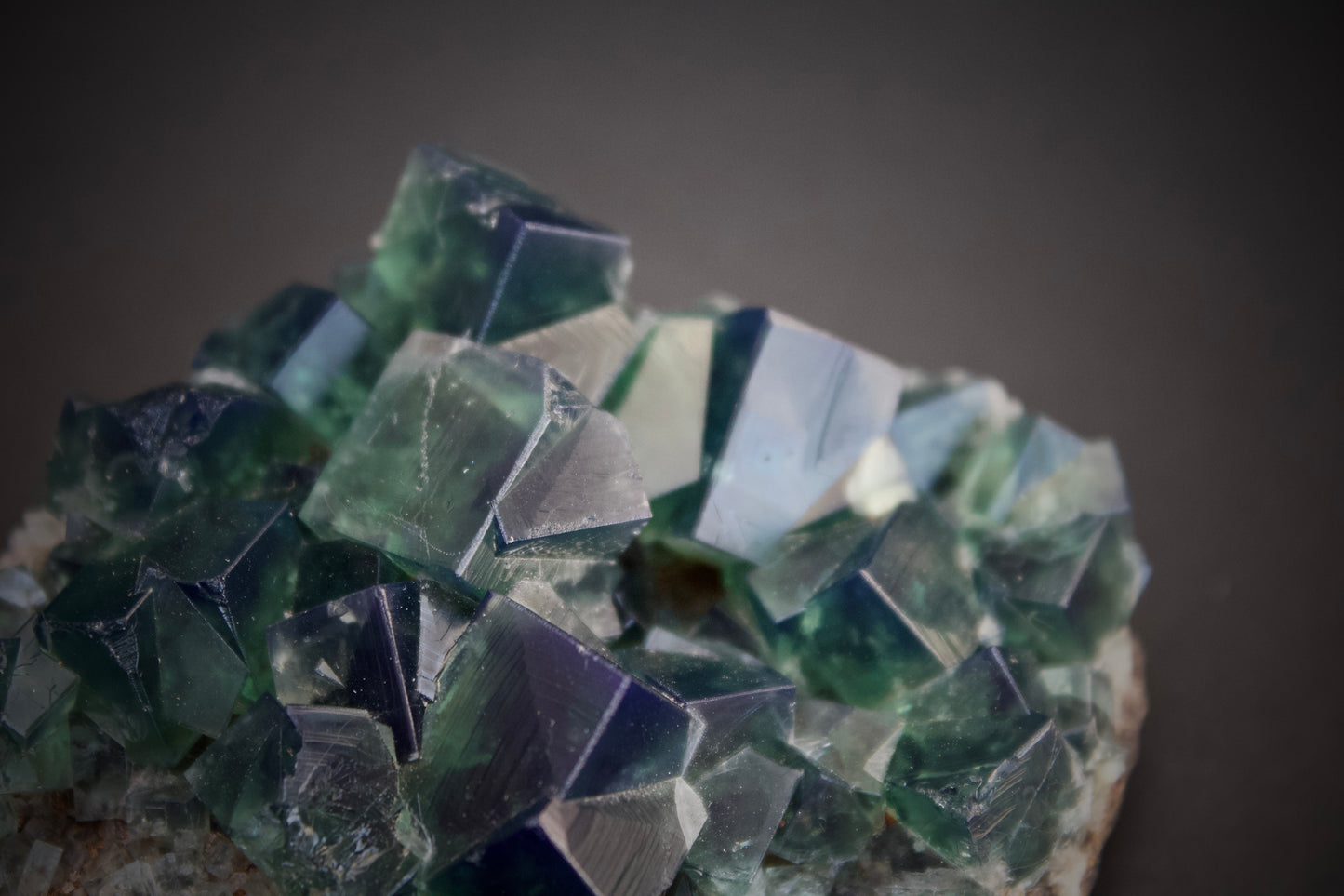 Greedy Hog Pocket Fluorite 8