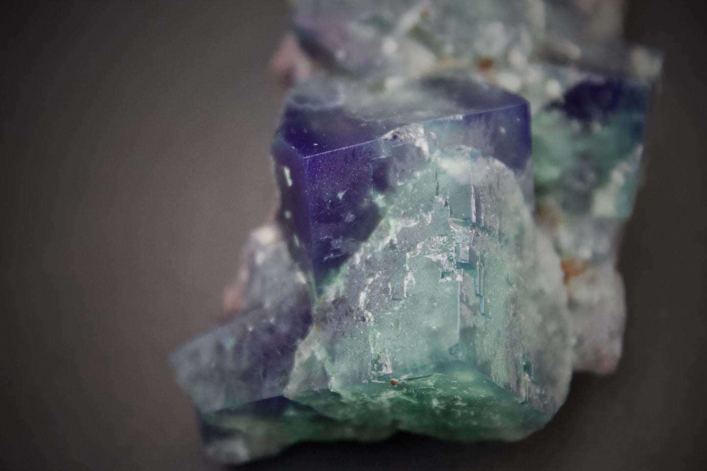 Truffle Pig Pocket Fluorite 1