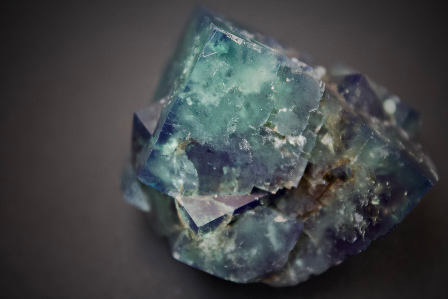 Truffle Pig Pocket Fluorite 4