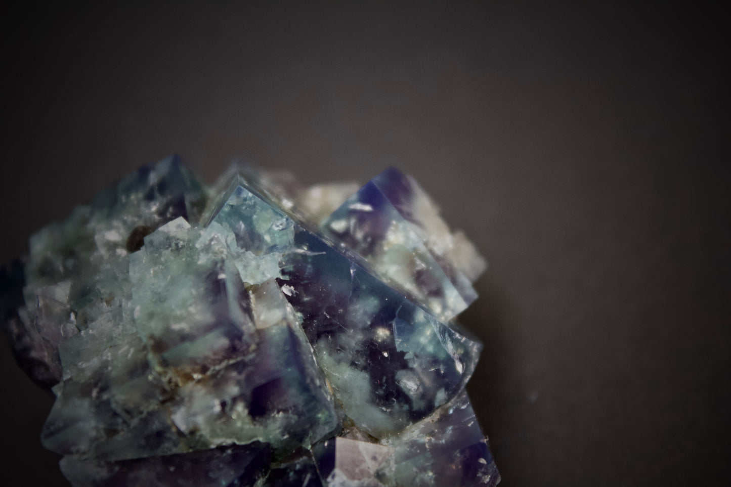 Truffle Pig Pocket Fluorite 6