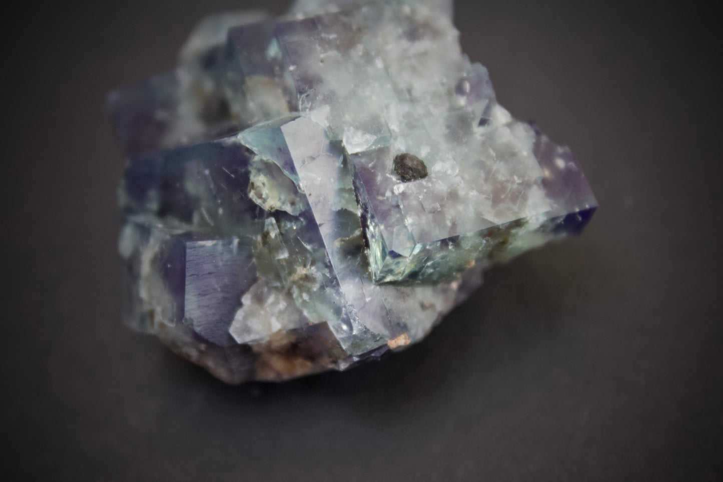 Truffle Pig Pocket Fluorite 6