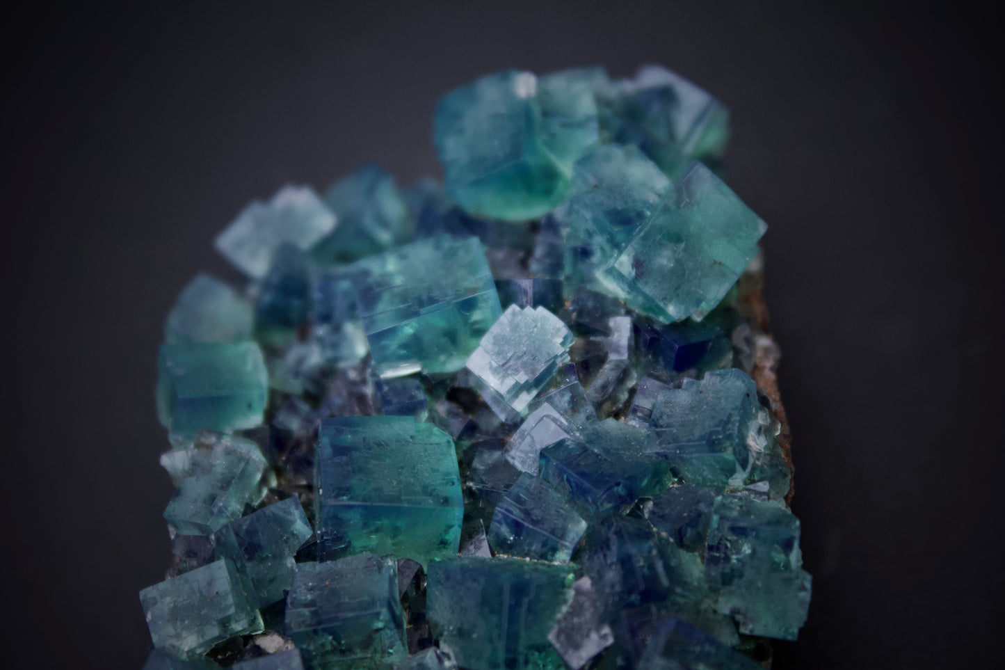 50 Year Pocket Fluorite 2