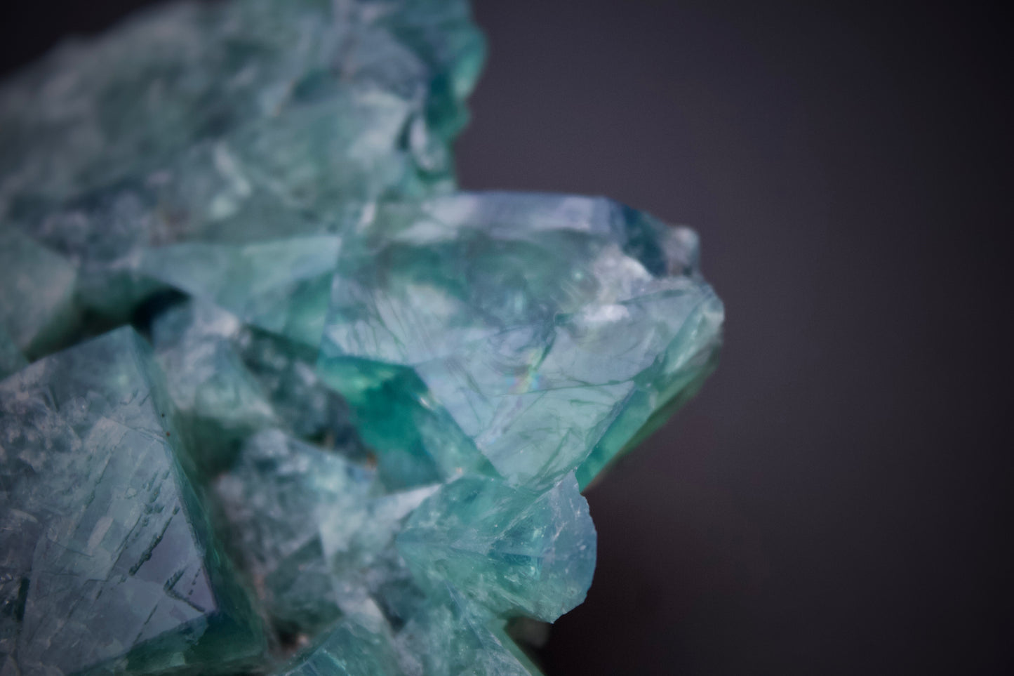50 Year Pocket Fluorite 6