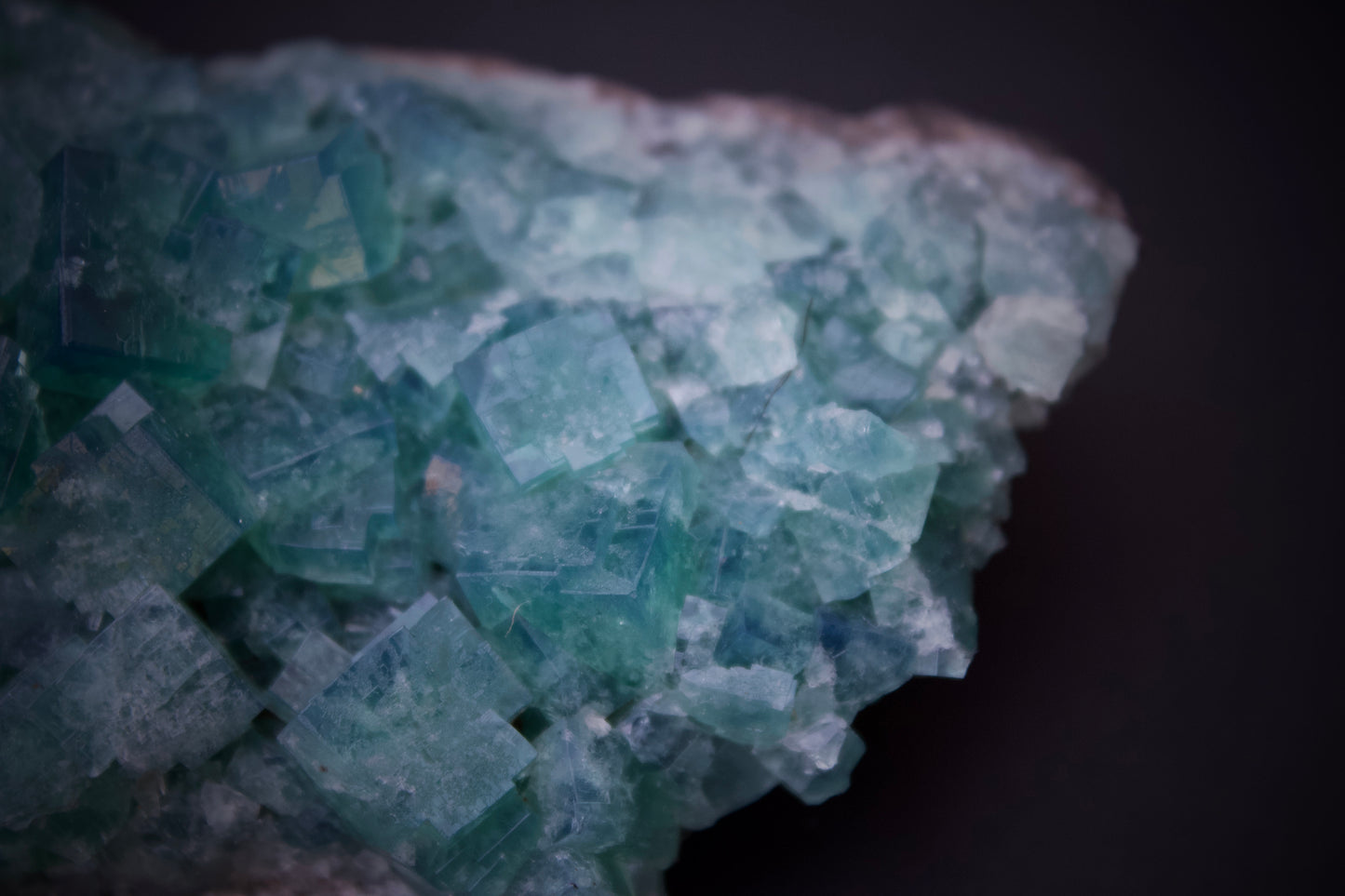 50 Year Pocket Fluorite 10
