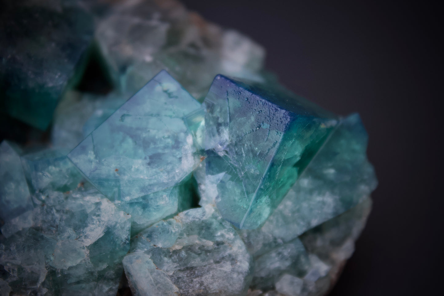 50 Year Pocket Fluorite 11