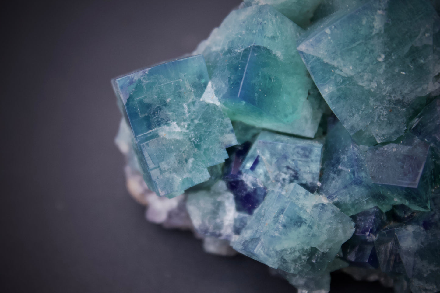 50 Year Pocket Fluorite 12