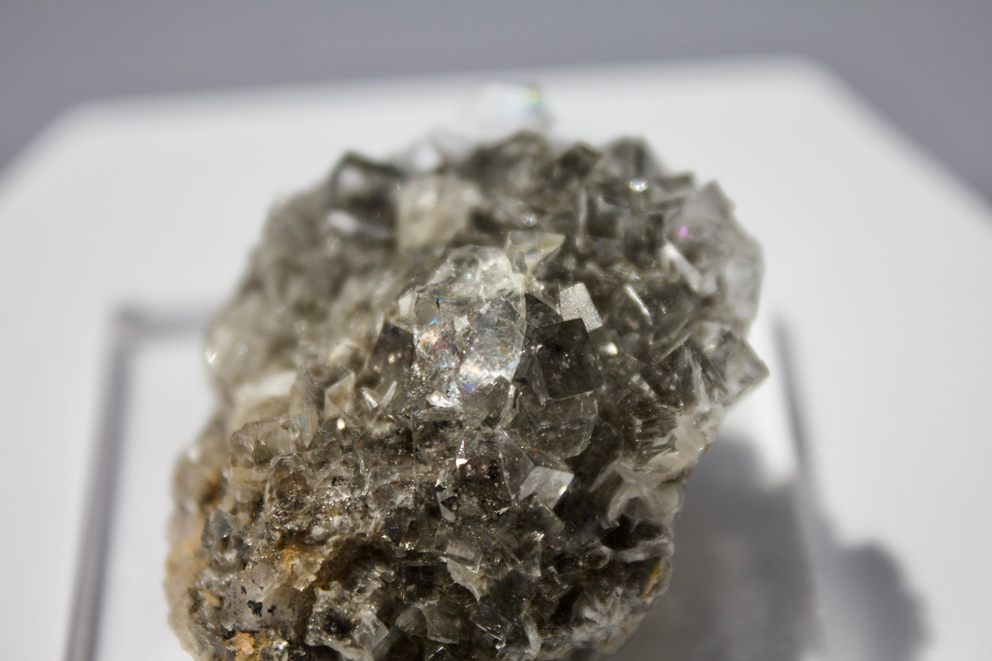 Emilio Mine Fluorite 8
