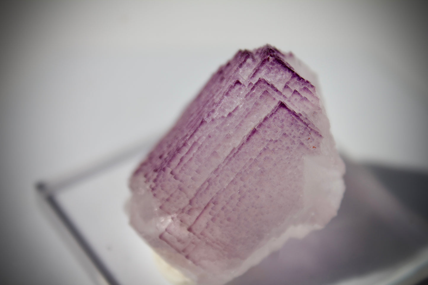 El Filo Fluorite 6