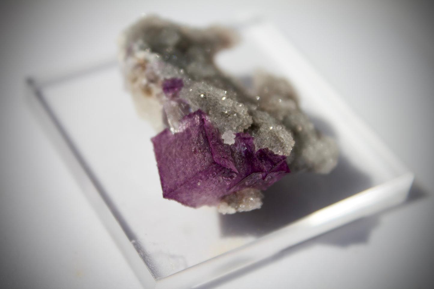 El Filo Fluorite 7