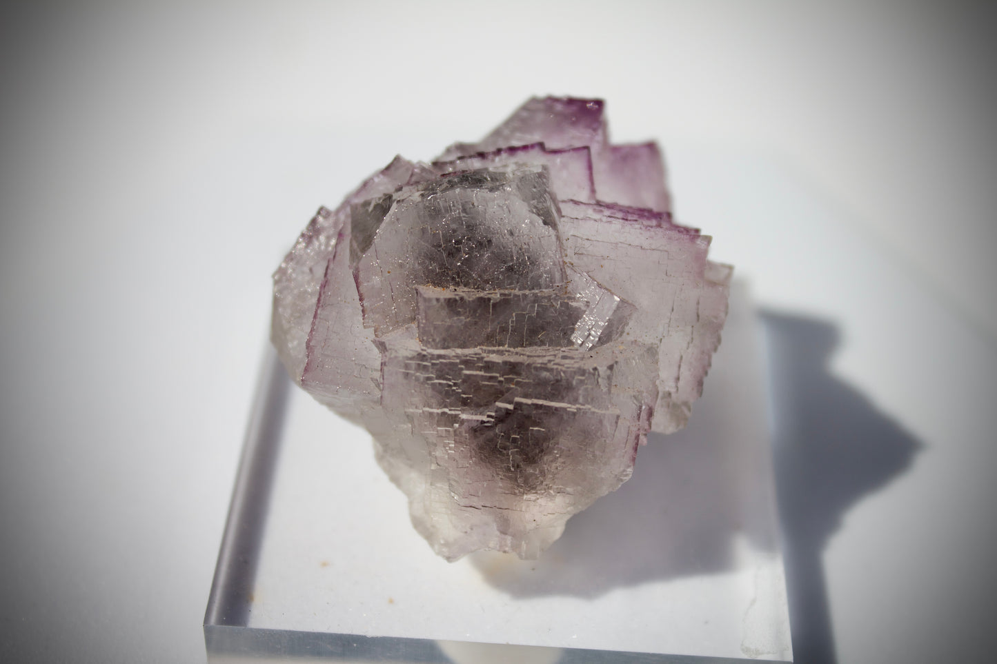 El Filo Fluorite 8
