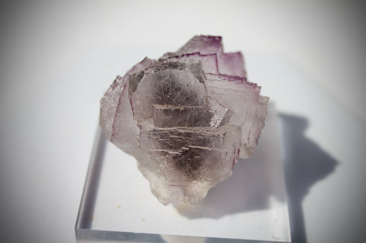 El Filo Fluorite 8