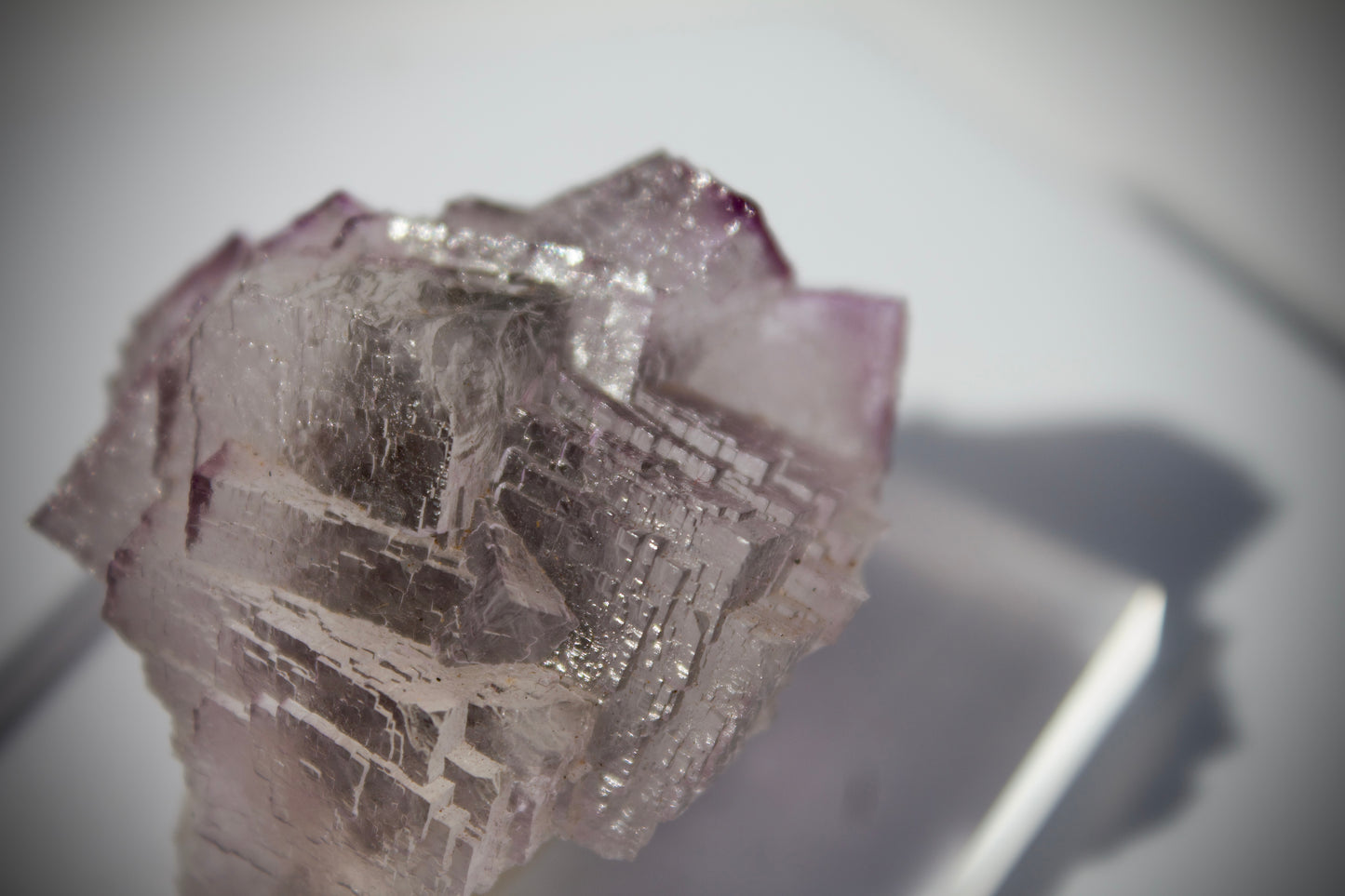 El Filo Fluorite 8