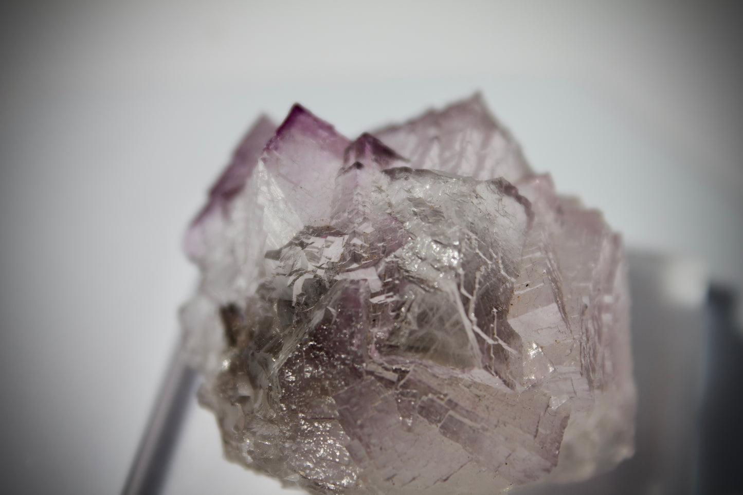 El Filo Fluorite 8