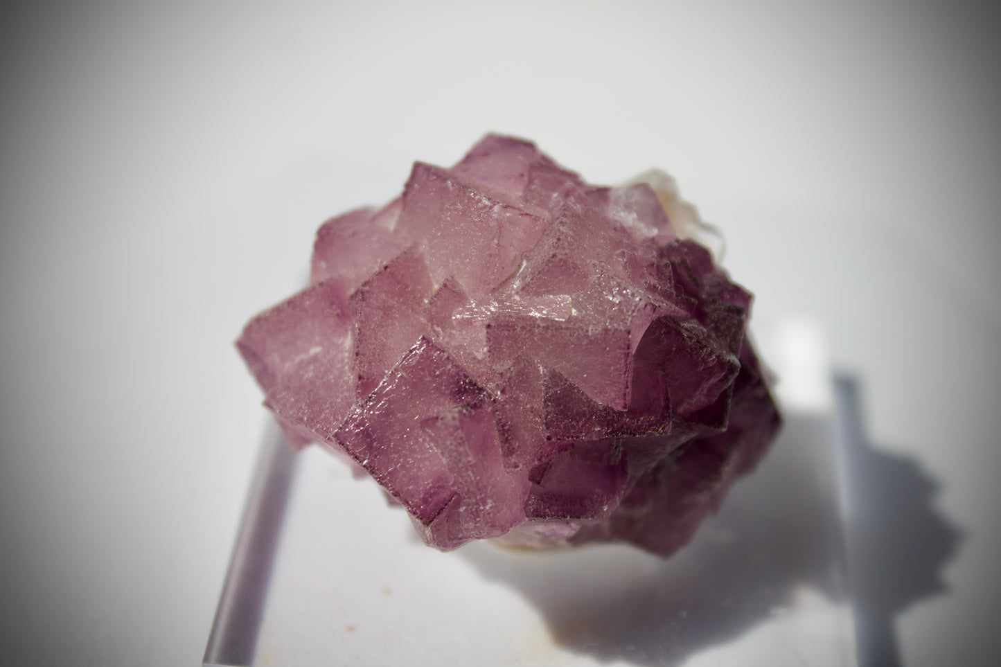 El Filo Fluorite 9