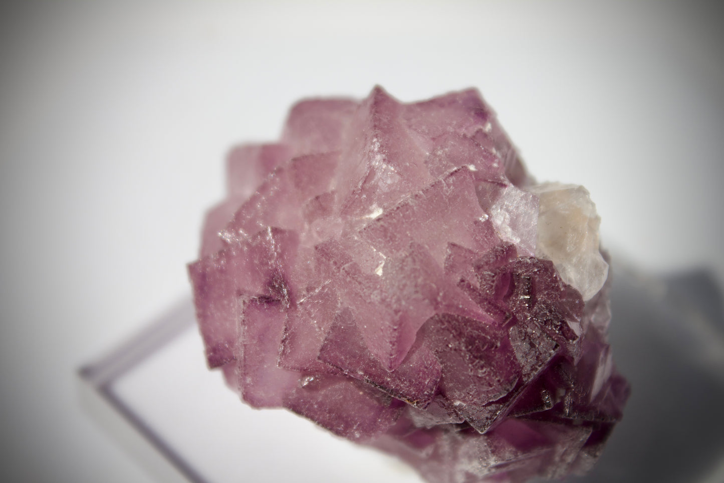 El Filo Fluorite 9