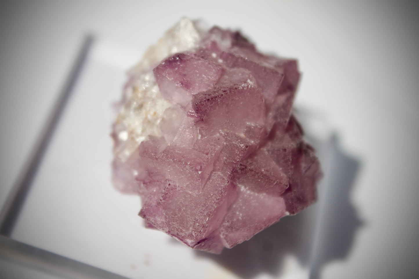 El Filo Fluorite 9