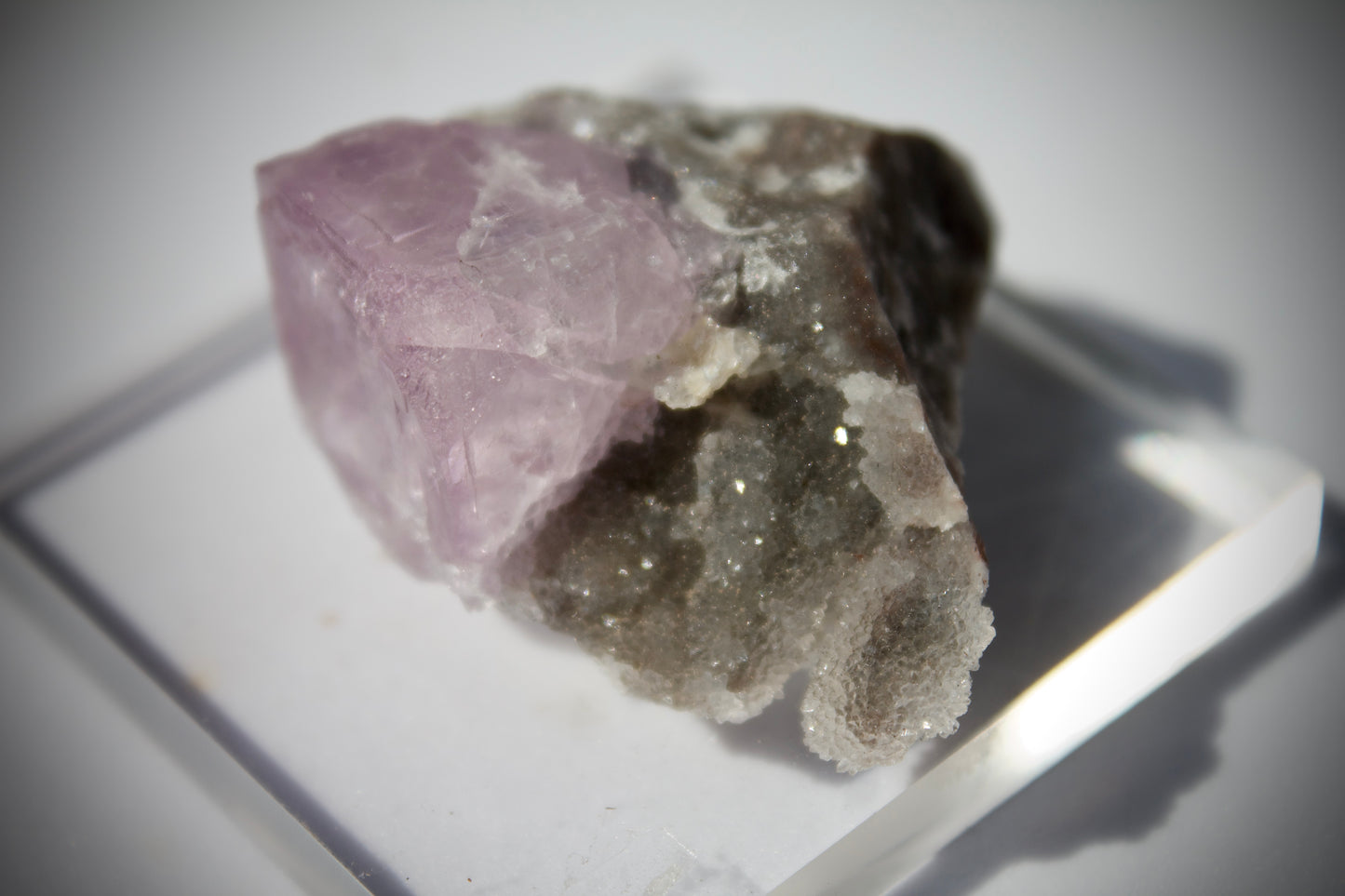 El Filo Fluorite 11