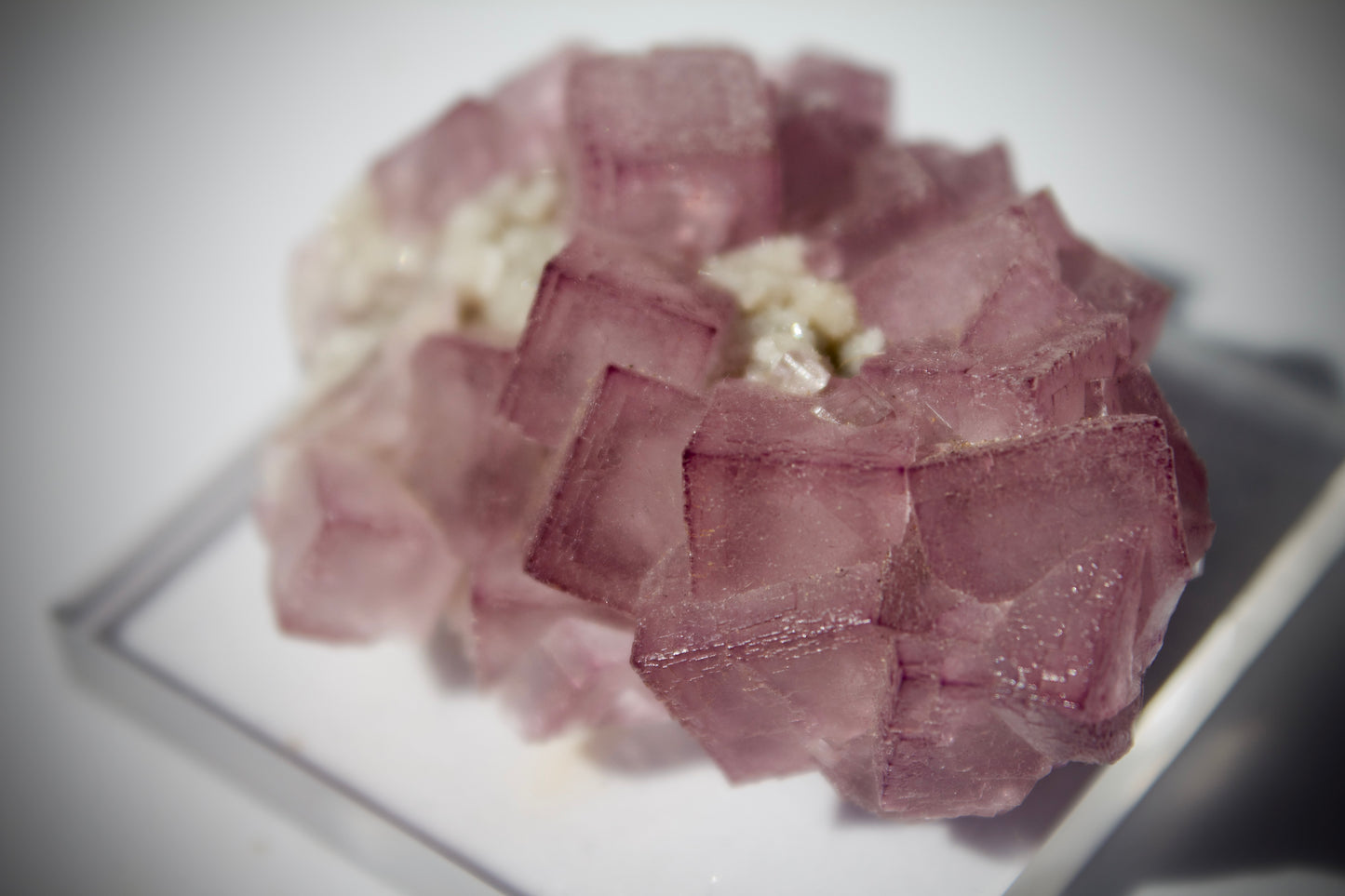 El Filo Fluorite 12